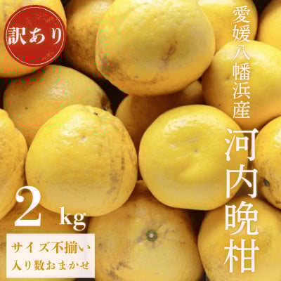 
            《果汁たっぷりジューシー》産地直送 愛媛八幡浜産 訳あり 河内晩柑 2kg＜A20-88＞【1625427】
          