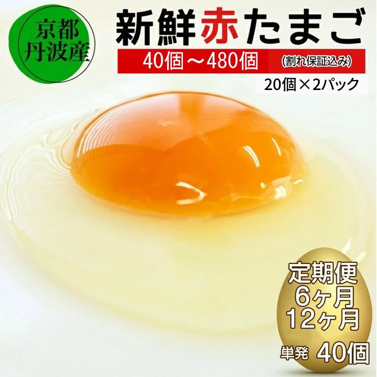 【ふるさと納税】新鮮 卵 京都・丹波の赤たまご 40個 割れ保証 込み 定期便 6ヶ月 12ヶ月 選べる《生卵 たまご 鶏卵 小分け 直送 冷蔵 朝食 料理 人気》 ※北海道・沖縄・離島への配送不可