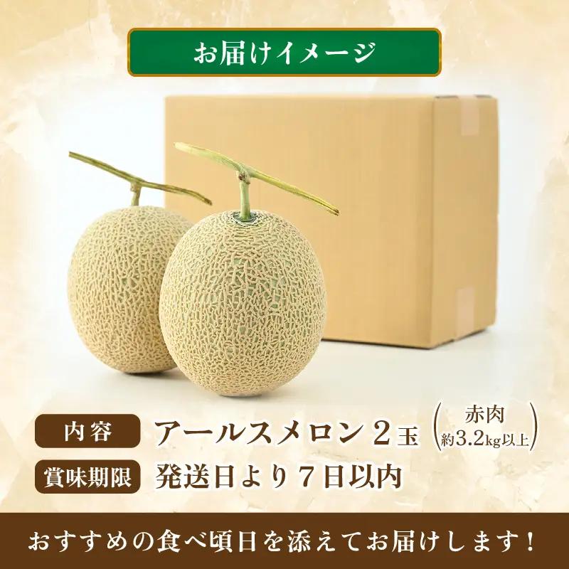 【先行予約】アールスメロン 2玉（約3.2kg以上）赤肉品種 高級メロン！ ／ マスクメロン 大玉 果物 フルーツ 夏 ギフト 農家直送 ※2027年6月下旬以降順次発送 [aw065-a014]