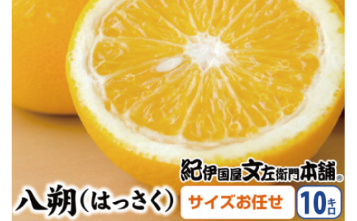 八朔(はっさく)約10kg サイズおまかせ　紀伊国屋文左衛門本舗※2026年1月下旬～4月上旬頃発送予定【sutb411B】