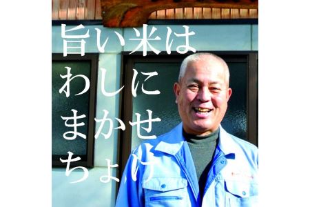 安来のお米【定期便】こりゃう米（まい）白米 5kg×3回（毎月） 令和7年産 コシヒカリ 精米