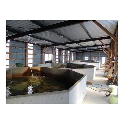 ふるさと納税 湯梨浜町 ◆湯梨浜ひらめ◆元気漬丼5袋セット(60K.) |  | 01