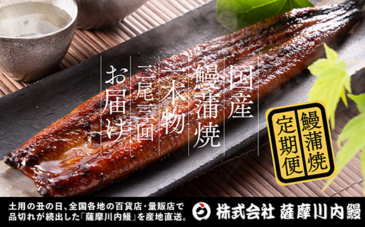 【3カ月定期便】国産うなぎ蒲焼（約170ｇ×2尾×3回）