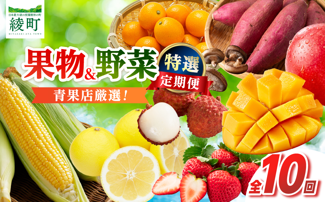【全10回お届け】特選！！宮崎県綾町産 果物・野菜定期便 [Y21]_A0113-0041 全10回定期便
