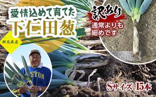 
            訳あり（家庭用）愛情込めて育てた下仁田葱（Sサイズ 15本） とろける 甘い ねぎ ネギ 王様ねぎ 殿様ねぎ 特産 栄養たっぷり ブランド 上州ねぎ すきやき F21K-569
          