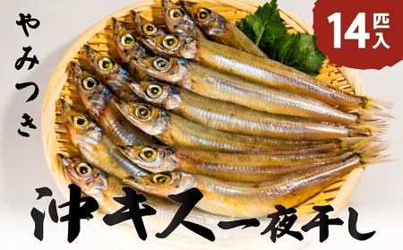 ふっくら柔らかい沖キスの一夜干し 14匹入 日本海 沖キス スの一夜干し