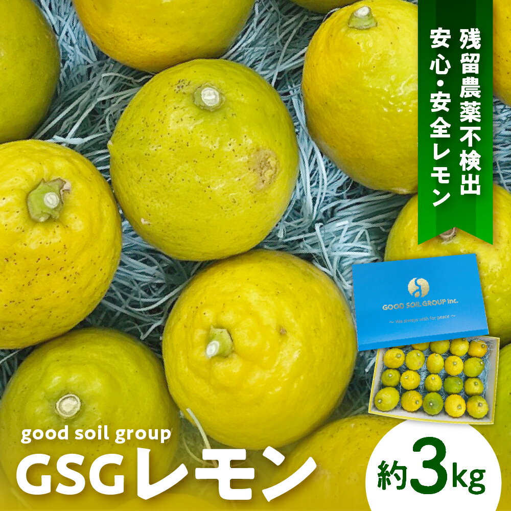 【ふるさと納税】【限定100セット】先行予約 GSGレモン 〜残留農薬不検出〜 約 3kg 【2025年12月上旬～発送】檸檬 レモン 果物 柑橘 フルーツ 生産量日本一の広島 産地直送 送料無料 お取り寄せグルメ 先行受付 広島県 呉市