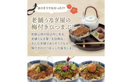 紀州南高梅ひつまぶし ６食セット（2食入り×３セット）《うなぎ》 / 和歌山 田辺市 国産 国産鰻 鰻 うなぎ ひつまぶし 梅ひつまぶし 紀州南高梅 南高梅 梅干し 梅 土用の丑の日 冷凍【ots01