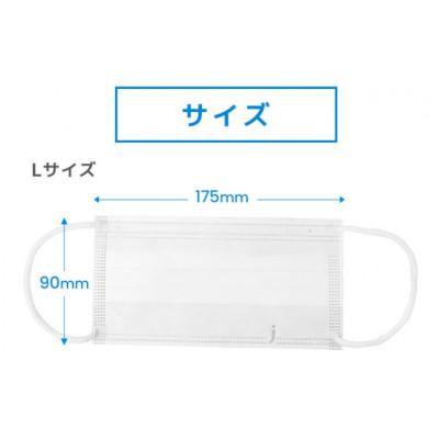 ふるさと納税 南アルプス市 日本製高性能マスク(医療レベル2)50枚入り×2箱 |  | 02