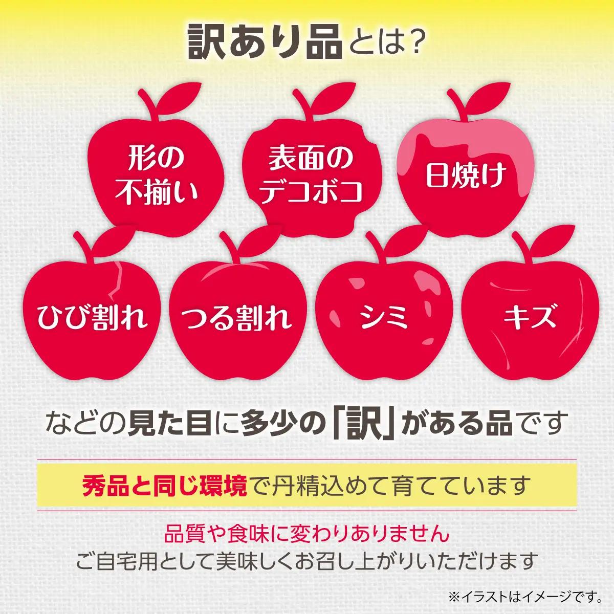 【ふるなびWEEK対象】【先行予約】＜2026年12月上旬よりお届け＞北海道壮瞥町　【訳あり】りんご　品種名「サンふじ」約10kg SBTF030