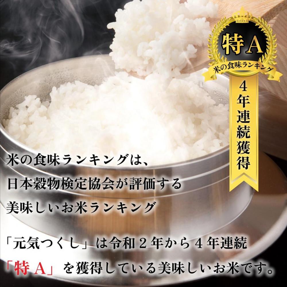 【化粧箱入り】新米！！令和7年産 福岡県産米 元気つくし 5kg ( 5kg×1袋 )