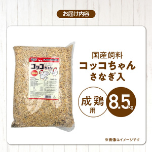 コッコちゃん 成鶏用 さなぎ入 8.5kg_コッコちゃん 成鶏用 飼料 さなぎ入 8.5kg 成鶏 健康維持 さなぎ 配合 産卵 サポート 卵 カルシウム 豊富 国産 原料 タンパク質 ビタミン ミネ