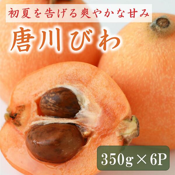 【ふるさと納税】びわ 唐川びわ 350g×6パック 約2.1kg 大粒 伊予市ブランド認定品 季節限定 数量限定 フルーツ 果物 愛媛県産 枇杷 旬 手作業 生産者直送 甘い 程よい酸味 お取り寄せ 愛媛県 伊予市 | B124