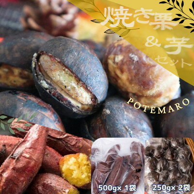 【ふるさと納税】2026年度産 しっとり甘い『紅はるか』の焼き芋と稀少品種『倉方』の焼き栗セット「ポテマロ」【配送不可地域：離島】【1096963】