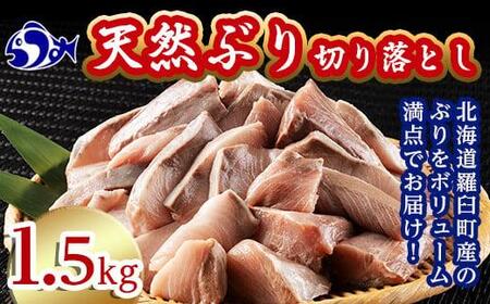 訳あり 北海道知床羅臼産 天然 ぶり 切り落とし（加熱用）1.5kg（500g×3袋） ブリブリブリブリブリブリ