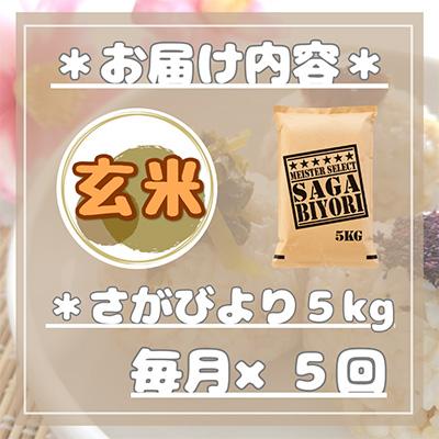 ふるさと納税 伊万里市 【毎月定期便】【玄米】 さがびより5kg【特A評価】(伊万里市)全5回 |  | 02