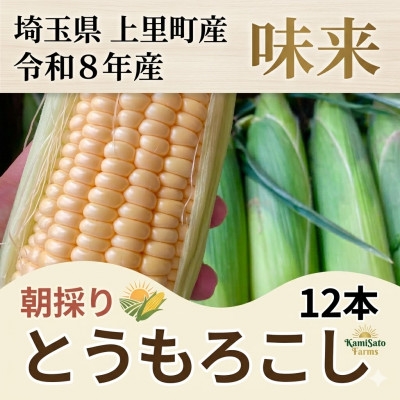 
                  2026年先行予約　とうもろこし　味来　2Lサイズ×12本　計5kg(梱包込み)【1564847】
                