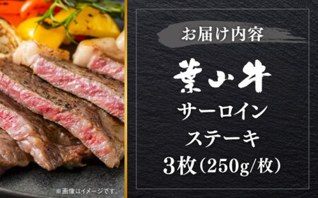 葉山牛 750g　サーロインステーキ ／ サーロイン [ASBD017]