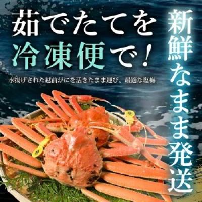 ふるさと納税 美浜町 ≪こだわり冷凍≫ 越前がに 約800g〜900g × 1杯(かにスプーン付き) |  | 01