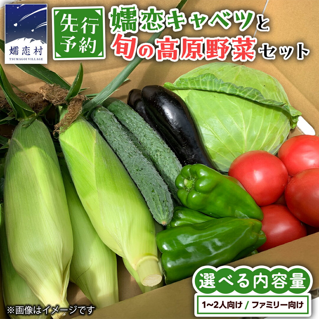 【ふるさと納税】【 8月下旬発送開始】 嬬恋 キャベツ と旬の 高原 野菜 セット 選べる内容量 旬の野菜 先行予約 きゃべつ 群馬 419 嬬恋キャベツ 産地直送 詰め合わせ アソート