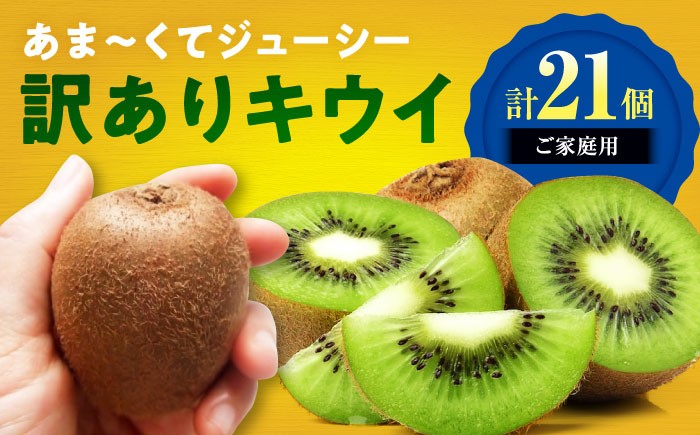 
                  キウイ 【先行予約】【2026年11月上旬から順次発送】【ご家庭用】キウイフルーツ ヘイワード 18個 甘熟パック入り 先行予約 11月発送 18玉 完熟 追熟済 グリーンキウイ 甘酸っぱい 旬 国産 西村農園 愛媛県大洲市/西村農園[AGDC007] キウイ キウイフルーツ 果物 くだもの フルーツ 新鮮 愛媛県産 大洲市産 産地直送 おすすめ 人気 お取り寄せ 送料無料 贈答 ギフト
                