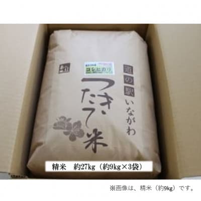 【令和6年産】新米・猪名川町のお米コシヒカリ(精米)約27kg【1514236】