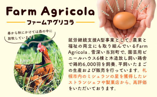 【1-12-38】こだわりの平飼いたまご食べ比べセット