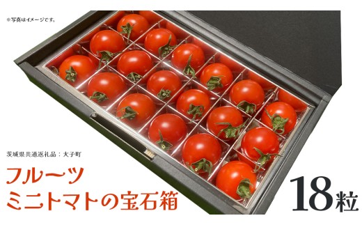 フルーツ ミニトマト の宝石箱 18粒 (茨城県共通返礼品：大子町) 野菜 フルーツ 旬 季節限定 期間限定 18粒