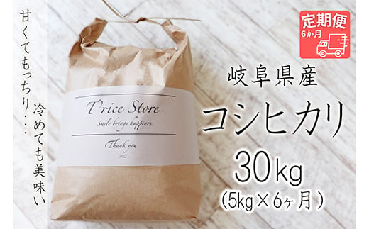 【令和6年産】 新米 T rice Store 岐阜県産 コシヒカリ 30kg(5kg×6回）