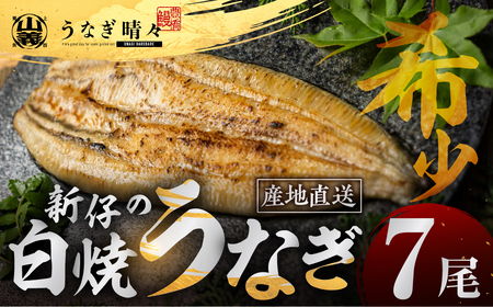 ７尾 うなぎ晴々 白焼き 新仔 うなぎ