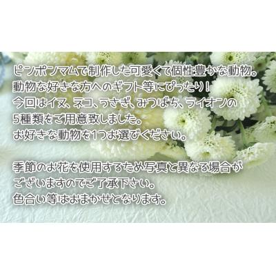 ふるさと納税 石巻市 アニ☆ポン(うさぎ) |  | 01