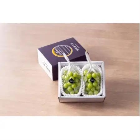 【発送月固定定期便】ニューピオーネとシャインマスカット　約1kg(2～3房)全2回【配送不可地域：離島】【4088790】