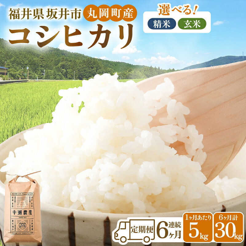 【ふるさと納税】令和8年産・新米【6ヶ月連続お届け】福井県坂井市丸岡町産 コシヒカリ5kg×6回　計30kg（精米方法選べます） お米 定期便 こめ こしひかり 玄米 白米 5キロ 6ヶ月 定期 国産 ふるさと納税米 産地直送