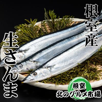 ふるさと納税 根室市 【年内配送可○】★冷凍さんま5尾×6P(計30尾) B-76001