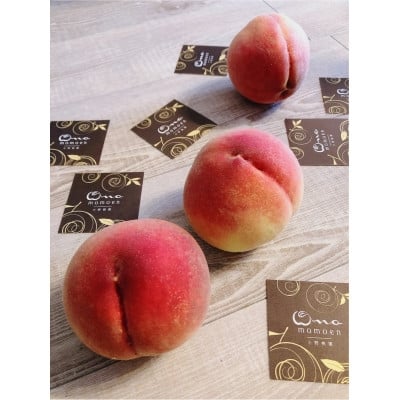 
                  ＜5年連続TV出演達成＞今、最も熱視線を注がれる『樹上完熟ブランド桃』2026年9月上旬より発送【1704745】
                