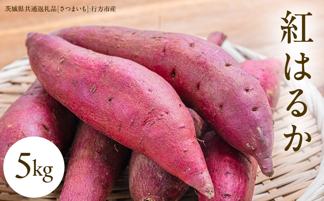 べにはるか 5kg （茨城県共通返礼品 [さつまいも]：行方市産） さつまいも 紅はるか 生芋 芋 いも 野菜 [BI07-NT]