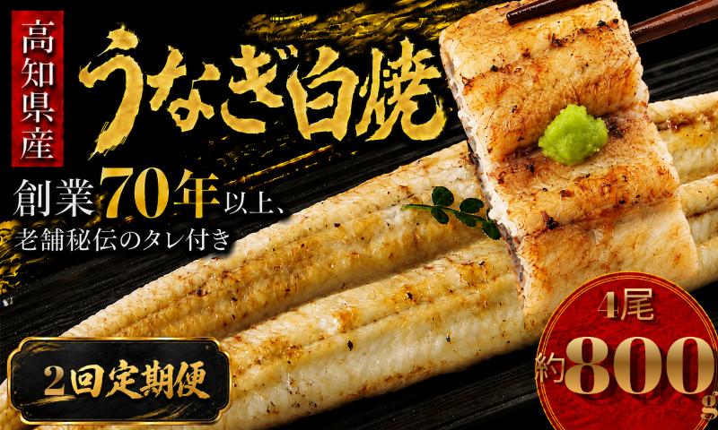 【2回 定期便】 高知県産 うなぎ 白焼 4尾 | 国産 日本産 うな重 うな丼 鰻 ウナギ 有頭 白焼き しらやき 土用丑の日 土用の丑の日 丑の日 魚 魚介 魚貝 海鮮 高級 贅沢 特別 老舗 初音 釜めし初音 鰻蒲焼 タレ付き タレ 贈答 お取り寄せ 冷凍 うな重 ギフト 贈り物 お祝い プレゼント ご褒美 人気 おすすめ 湯煎 簡単 調理 おかず お手軽 ご当地 グルメ 高知県 南国市