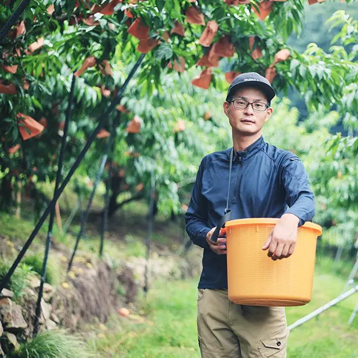 【ご家庭用】岡山白桃 白麗 5～7玉【2026年7月中旬頃から順次発送】