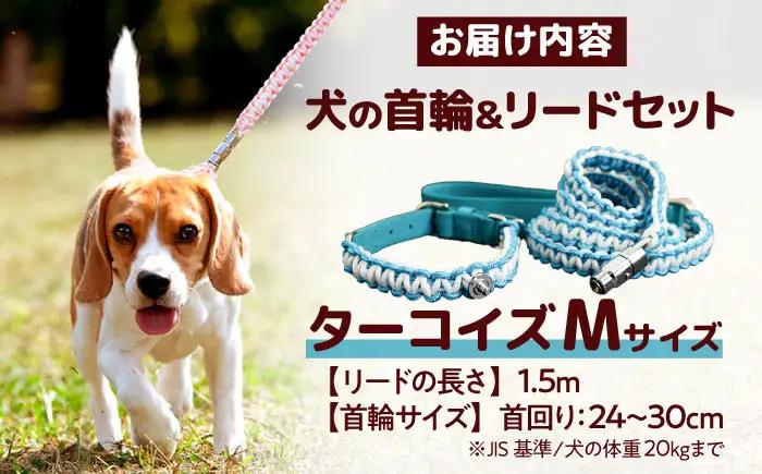 ペット 犬の首輪＆リードセット ターコイズ M ペット BLBX006
