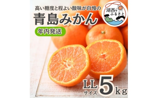 ＜年内発送＞＜12月中旬より順次出荷予定＞青島みかん約5kg LLサイズ〔鈴木農園〕【1510094】