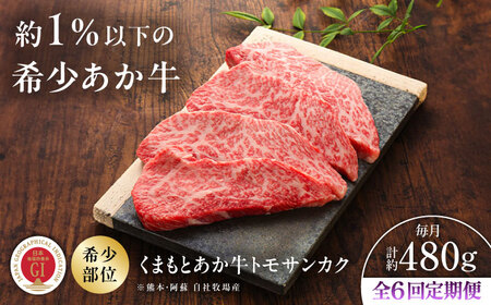 全6回定期便 GI認証 くまもとあか牛トモサンカク 約120g×4枚 ステーキ BHAS079 ステーキ