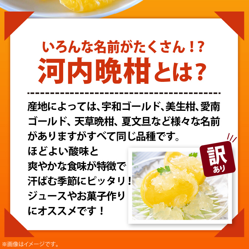 AB7041n_【2026年先行予約】有田育ちの 河内晩柑 【訳あり 家庭用】3.5kg (サイズ混合)【ミカン 蜜柑 灘オレンジ サウスオレンジ 柑橘 フルーツ 和歌山 有田】