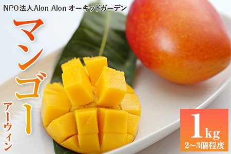 Alon Alon マンゴー（アーウィン）栽培期間中農薬不使用 １kg【6月中旬～7月下旬頃発送】