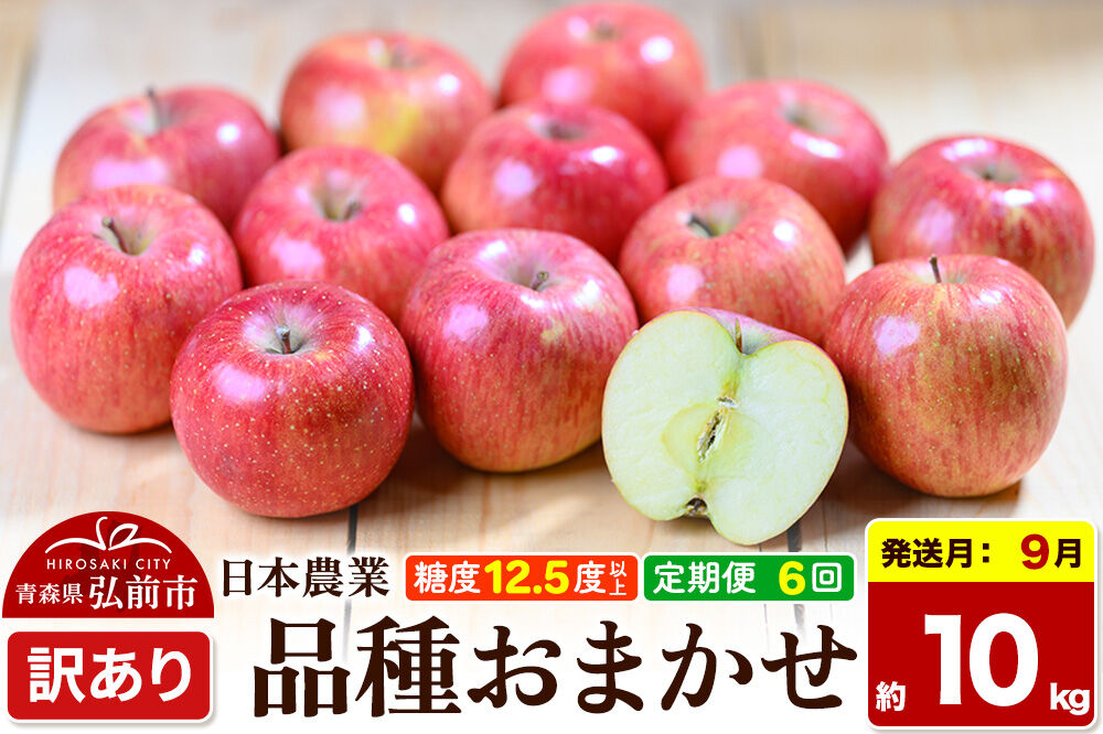 【26年9月～発送】《定期便6ヶ月》りんご 品種おまかせ【訳あり】約10kg 平均糖度12.5度以上【9月～2月】 6回分 青森 果物 フルーツ 林檎 リンゴ くだもの 不揃い 規格外 [家庭用 産地