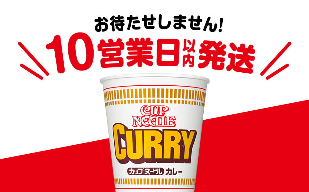 日清 カレーヌ−ドル★1箱（20食入）
