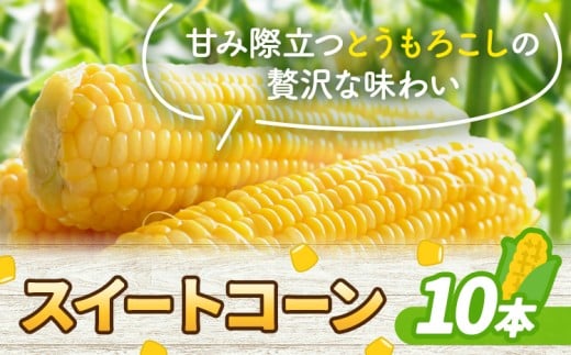 とうもろこし スイートコーン 10本 髙橋商店《2026年5月中旬-6月下旬頃出荷》熊本県 苓北町 野菜 コーン 玉蜀黍 コーンバター 焼きとうもろこし コーンスープ