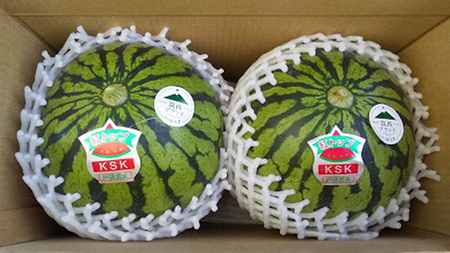 【 先行予約 】 希少品種 「 紅トップ 」 茨城県産 小玉 すいか  2玉入り Lサイズ スイカ [AG003ci]