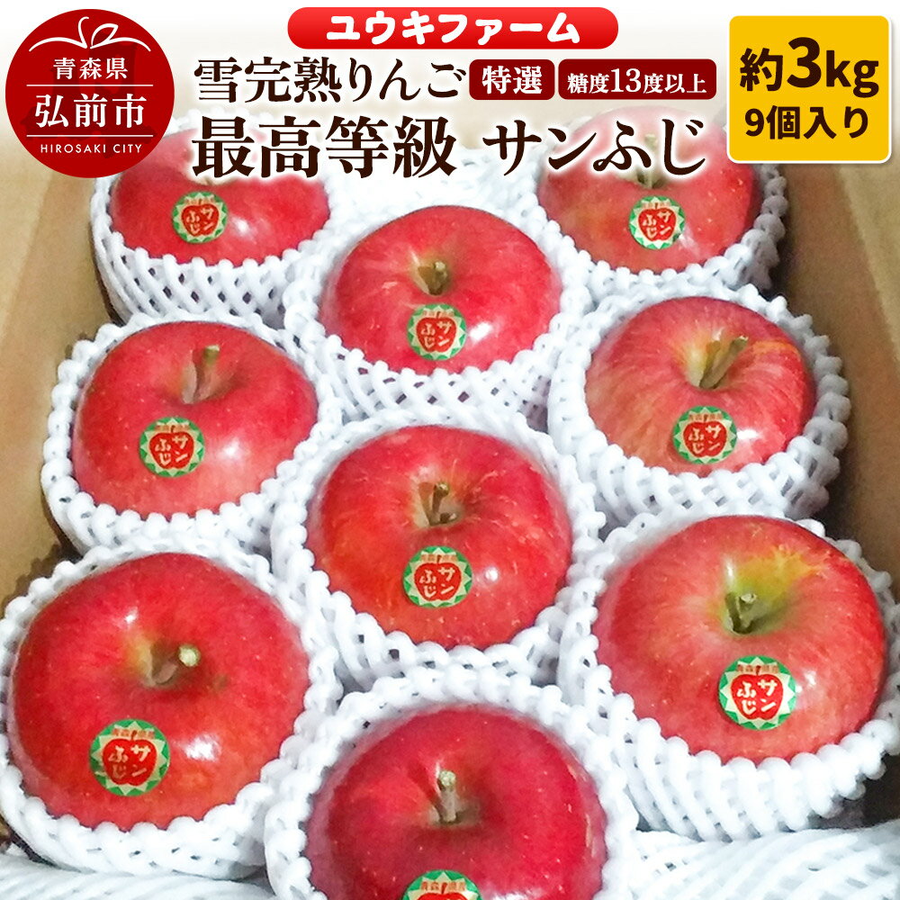 【ふるさと納税】りんご 【 数量限定 】雪完熟りんご 最高等級 糖度13度以上 「特選」 サンふじ 約 3kg 9個入り
