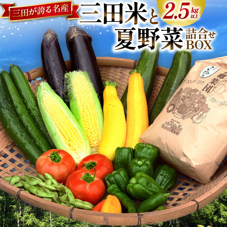 【ふるさと納税】 三田米と旬の夏野菜詰め合わせBOX [パスカルさんだ 兵庫県 三田市 3d28bae660051] 三田米 米 新米 白米 今摺米 野菜 野菜詰め合わせ 野菜セット 旬の野菜 夏野菜 産地直送 クール便 詰め合わせ 冷蔵 期間限定 数量限定