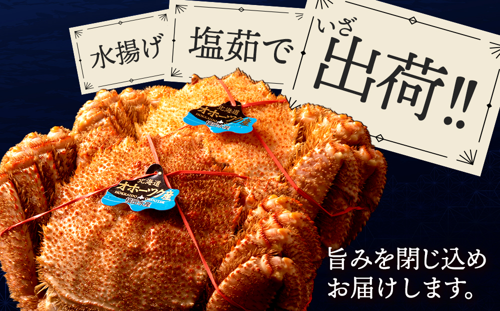 ☆北海道産 毛ガニ 約500g×1尾　かに 蟹 毛蟹 冷凍 北海道産 浜頓別町